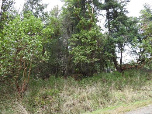 Lot 22 Lawnhill Dr, Salt Spring, BC 