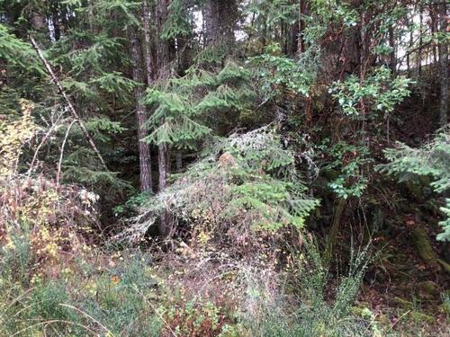 Lot 22 Lawnhill Dr, Salt Spring, BC 