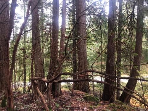 Lot 22 Lawnhill Dr, Salt Spring, BC 