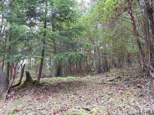 Lot 22 Lawnhill Dr, Salt Spring, BC 