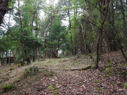 Lot 22 Lawnhill Dr, Salt Spring, BC 