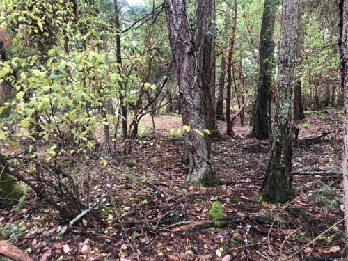 Lot 22 Lawnhill Dr, Salt Spring, BC 