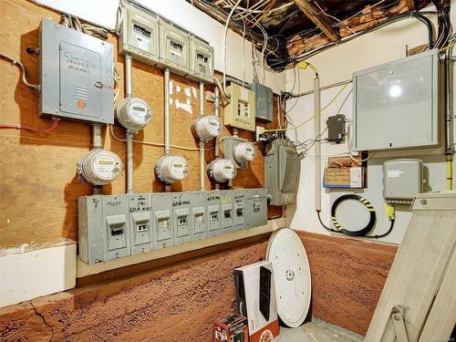 845 Princess Ave, Victoria, BC - Indoor Photo Showing Basement