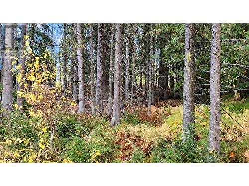 210 Cedar Creek Place Lot# Sl 10, Rossland, BC 