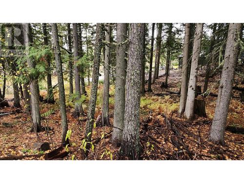 210 Cedar Creek Place Lot# Sl 10, Rossland, BC 