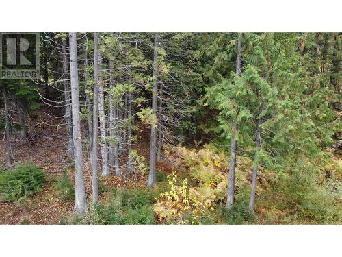 210 Cedar Creek Place Lot# Sl 10, Rossland, BC 