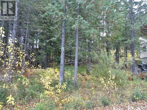 210 Cedar Creek Place Lot# Sl 10, Rossland, BC 