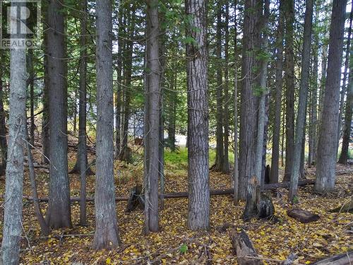 210 Cedar Creek Place Lot# Sl 10, Rossland, BC 