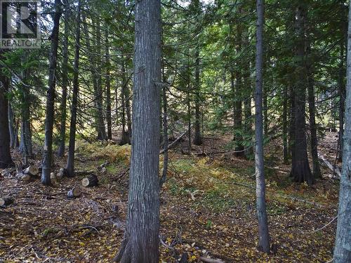 210 Cedar Creek Place Lot# Sl 10, Rossland, BC 