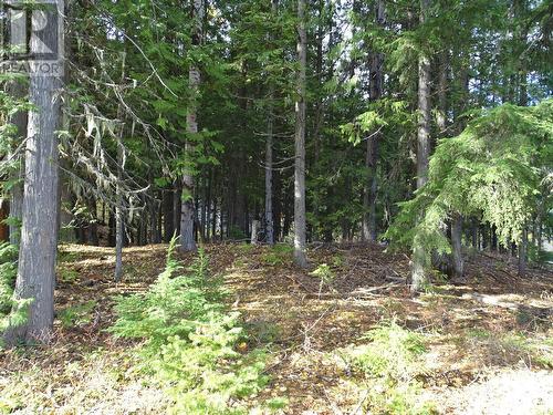 210 Cedar Creek Place Lot# Sl 10, Rossland, BC 