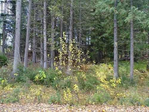 210 Cedar Creek Place Lot# Sl 10, Rossland, BC 