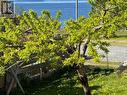 1990 Waterman Ave, Texada Island, BC  - Outdoor With Body Of Water With View 