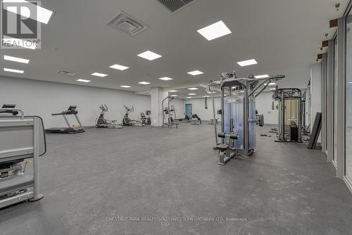 224 - 652 Princess Street, Kingston, ON - Indoor Photo Showing Gym Room