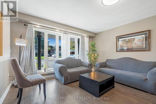 6 Rideau Crescent, Hamilton, ON - Indoor Photo Showing Living Room