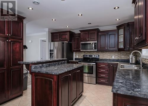 220 Bonds Path, Placentia, NL - Indoor Photo Showing Kitchen With Double Sink With Upgraded Kitchen