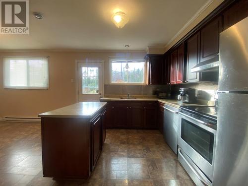 58 Elizabeth Drive, Paradise, NL - Indoor Photo Showing Kitchen With Double Sink