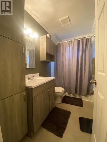 58 Elizabeth Drive, Paradise, NL - Indoor Photo Showing Bathroom