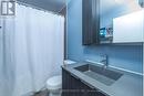 203 - 99 The Donway West Road, Toronto, ON  - Indoor Photo Showing Bathroom 