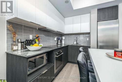 203 - 99 The Donway West Road, Toronto, ON - Indoor Photo Showing Kitchen With Upgraded Kitchen