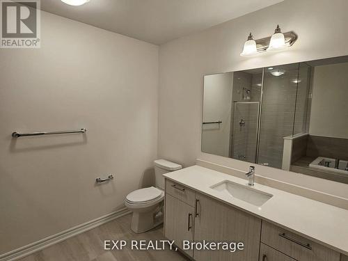 481 Celandine Terrace, Milton, ON - Indoor Photo Showing Bathroom