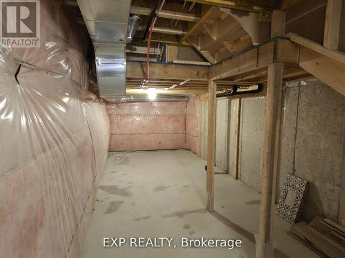 481 Celandine Terrace, Milton, ON - Indoor Photo Showing Basement