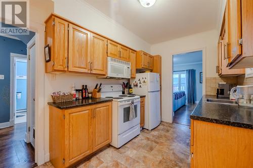 172 Pennywell Road, St. John'S, NL - Indoor Photo Showing Kitchen