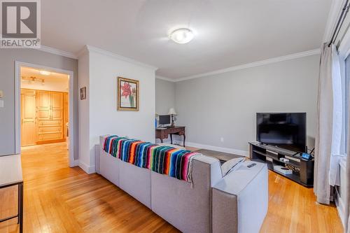 172 Pennywell Road, St. John'S, NL - Indoor Photo Showing Living Room