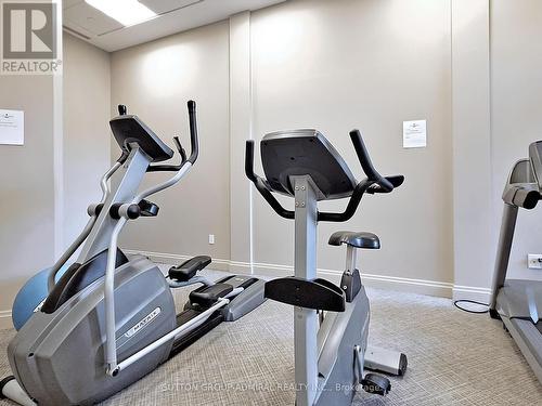 326 - 2396 Major Mackenzie Drive, Vaughan, ON - Indoor Photo Showing Gym Room