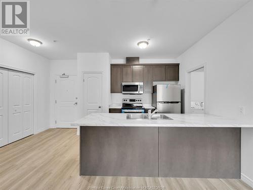 1888 Westview Park Boulevard Unit# 416, Lasalle, ON - Indoor Photo Showing Kitchen With Double Sink