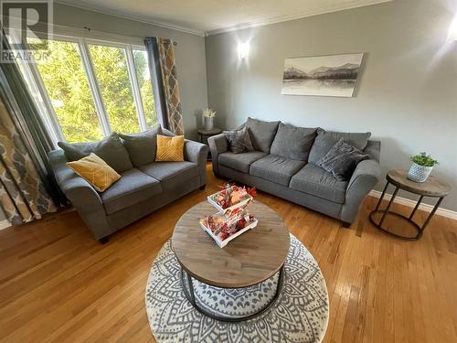 7 Kings Road, Bishop'S Falls, NL - Indoor Photo Showing Living Room