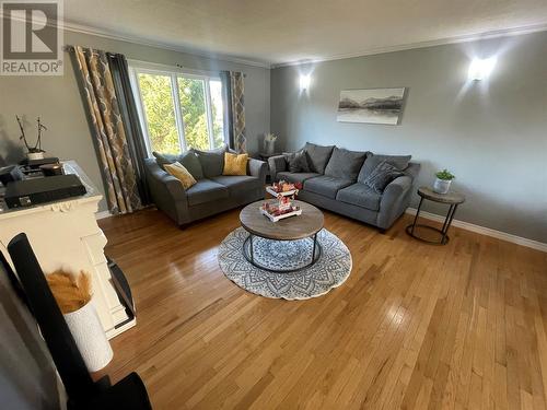 7 Kings Road, Bishop'S Falls, NL - Indoor Photo Showing Living Room