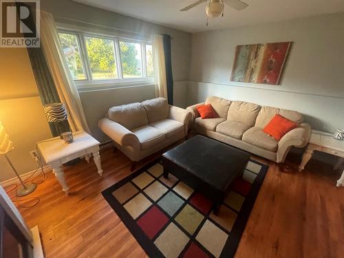 7 Kings Road, Bishop'S Falls, NL - Indoor Photo Showing Living Room