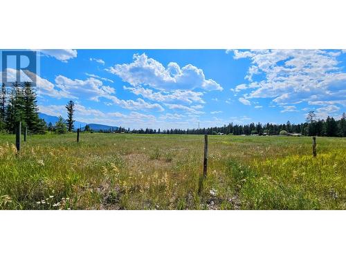 3560 Island Pond Road, Skookumchuck, BC - Outdoor With View