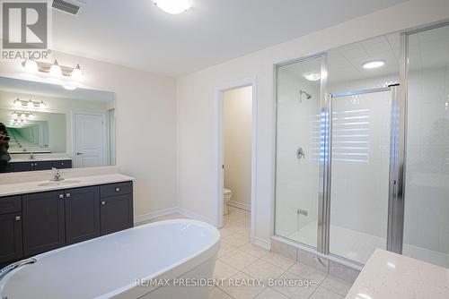 269 Broadacre Drive, Kitchener, ON - Indoor Photo Showing Bathroom