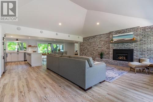 48265 Rush Creek Line, Malahide (Port Bruce), ON - Indoor Photo Showing Living Room With Fireplace