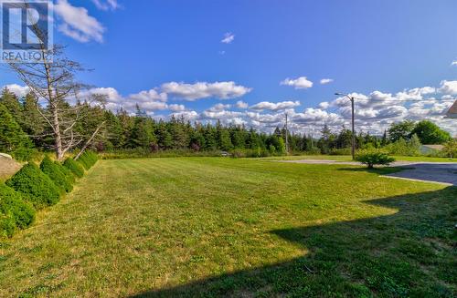 75-77 Conrans Road, Harbour Main, NL - Outdoor With View