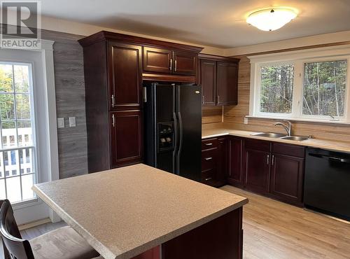 H Partridge Berry Point, Howley, NL - Indoor Photo Showing Kitchen With Double Sink