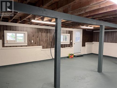 H Partridge Berry Point, Howley, NL - Indoor Photo Showing Basement