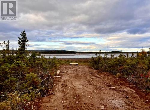 H Partridge Berry Point, Howley, NL - Outdoor With View