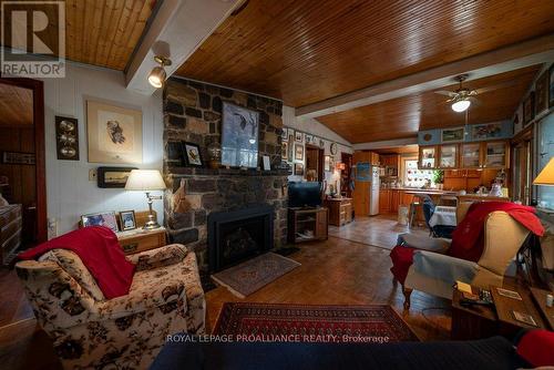 1067B Shawenegog Lake Lane, North Frontenac (Frontenac North), ON - Indoor Photo Showing Living Room With Fireplace