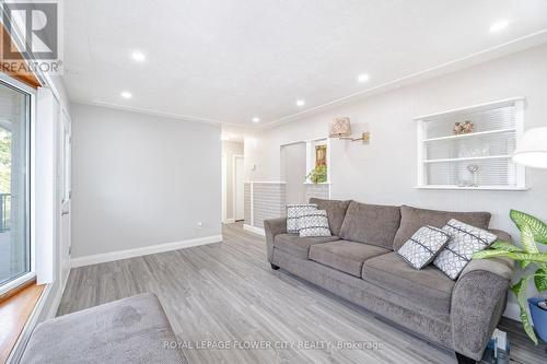 50 Beacon Avenue, Hamilton, ON - Indoor Photo Showing Living Room