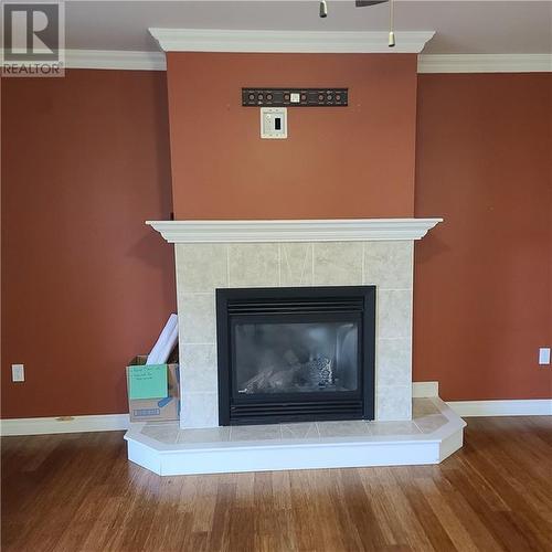 2002 County Road 2 Road, Johnstown, ON - Indoor Photo Showing Living Room With Fireplace