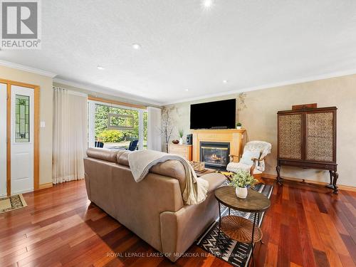 1859 Warminster Side Road, Oro-Medonte, ON - Indoor Photo Showing Living Room With Fireplace