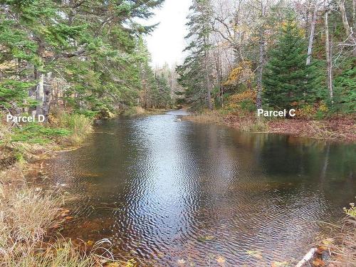 3 Lots Gold River Road, Upper Middle River, NS 