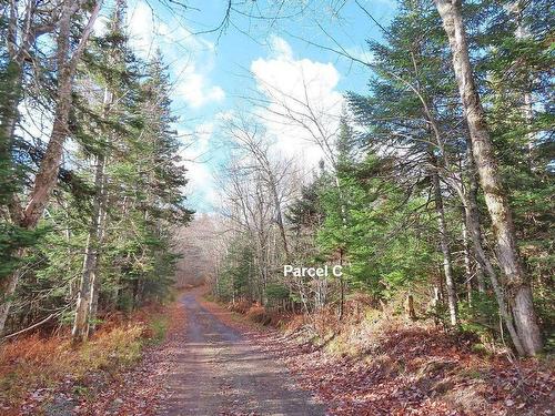 3 Lots Gold River Road, Upper Middle River, NS 