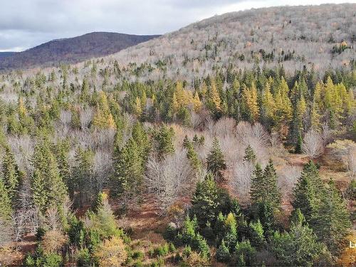 3 Lots Gold River Road, Upper Middle River, NS 