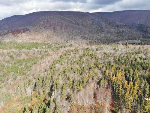 3 Lots Gold River Road, Upper Middle River, NS 