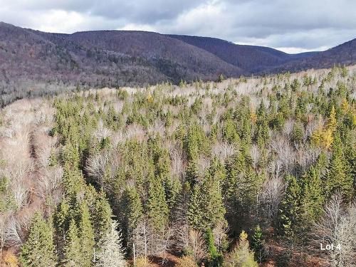 3 Lots Gold River Road, Upper Middle River, NS 