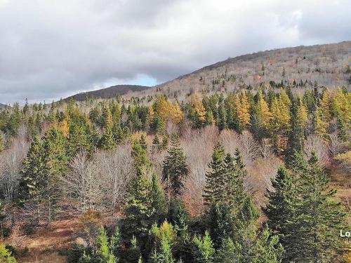 3 Lots Gold River Road, Upper Middle River, NS 