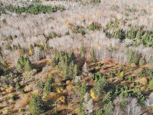 3 Lots Gold River Road, Upper Middle River, NS 